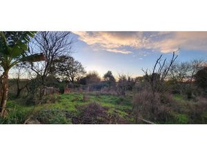 Vente terrain 1150 m² à Nesmy (85310)  89 900 €