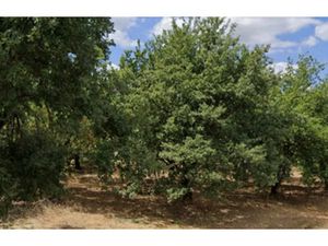 Vente terrain 651 m² à Romans-sur-isere (26100)  89 500 €