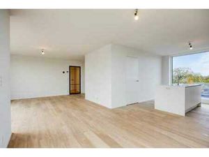 Denderleeuw  Anjelierenlaan - Steenweg - Fase 3 (Anjelier...