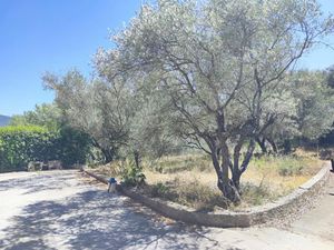 Vente terrain 702 m² à Pignans (83790)  158 000 €