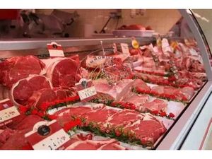 Vente locaux professionnels 140 m² à Bergues (59380)  365 000 €