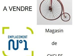 Vente locaux professionnels à La Gacilly (56200)  307 720 €