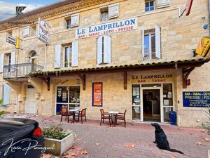 Vente locaux professionnels 80 m² à Sainte-Terre (33350)  134 400 €