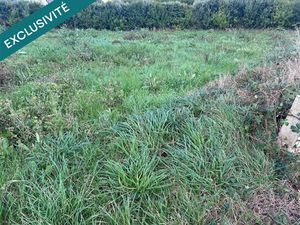 Vente terrain 641 m² à Roscoff (29680)  168 000 €