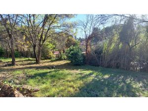 Vente terrain 810 m² à Pégomas (06580)  299 000 €