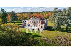 Vente château 25 pièces 1125 m² à Salbris (41300)  2 940 000 €