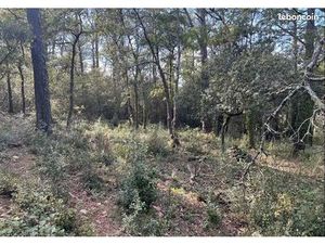 Terrain 559 m² La Roquebrussanne