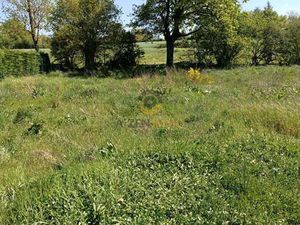 Vente Terrain à La Chapelle-Bertrand (79200) : à vendre / 902m² La Chapelle-Bertrand