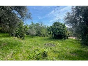 Terrain Contes m² T- à vendre  220 000 €