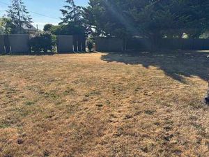 Vente Terrain à Chemille (49120) : à vendre / Chemille