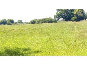 Vente Terrain à Flers (61100) : à vendre / 15000m² Flers