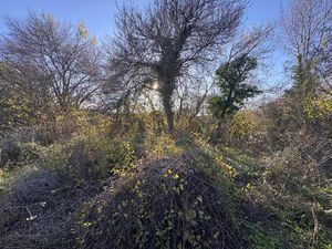 Terrain à bâtir 1200m2 divisible