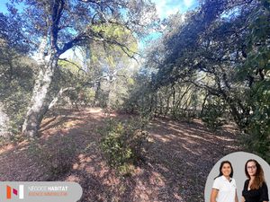 Achat Terrain 1 300m² BOISSERON 34160