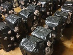 en vente Maison 160 000 m² – 195 000 € |Richelieu