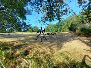 Achat Terrain 10 611m² BESSINES SUR GARTEMPE 87250