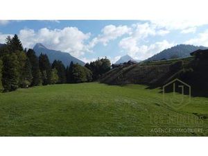 À Vendre Terrain À Bâtir 745 M2 Montriond  Proche Morzine