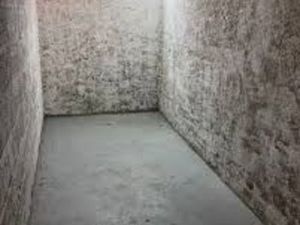 Recherche cave saine quartier rue guichard Cachan