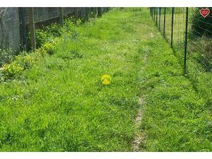 Vente maison 1 pièce Bourges (18000)