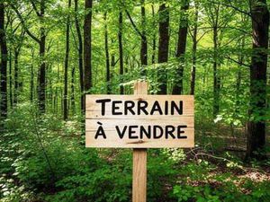 Vente Terrain à Péaule (56130) : à vendre / 3234m² Péaule