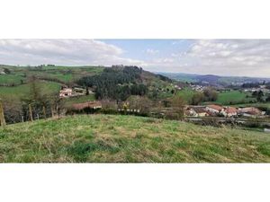 Achat : Terrain (42330)