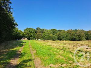 Achat : Terrain (14290)