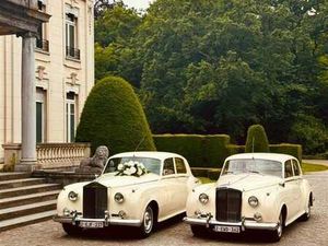 Une brasserie à reprendre dans la région d'Anvers Nord