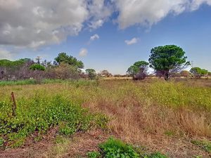 Vente terrain à Saint-andre (66690)  23 500 €