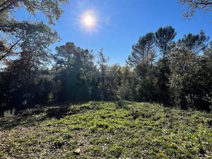 Terrain de 720 m2 boisé avec permis de construire accepté