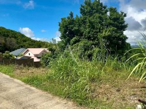 Vente terrain 733 m² à Riviere salee (97215)  109 000 €
