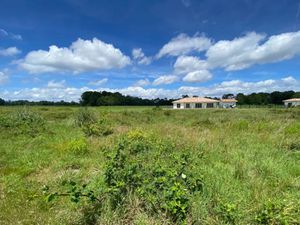 Vente terrain 11471 m² à Saint-Vincent-de-Paul (40990)  340 000 €