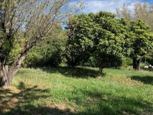 Vente terrain 410 m² à Brignoles (83170)  115 000 €