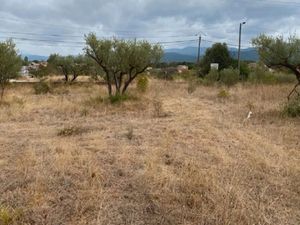Vente terrain 590 m² à Gonfaron (83590)  125 000 €