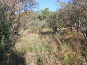 Vente terrain 1113 m² à Carnoules (83660)  130 000 €