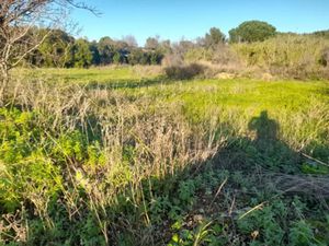 Vente terrain 650 m² à Puget-Ville (83390)  178 000 €