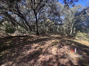 Vente terrain 1300 m² à Boisseron (34160)  242 000 €