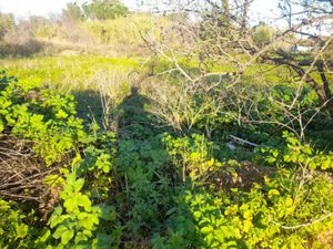 Vente terrain 640 m² à Sollies-pont (83210)  240 000 €