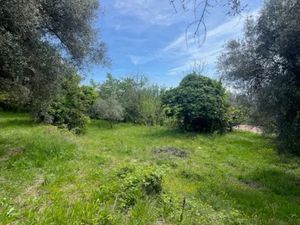 Vente terrain à batir 2300 m² à Contes (06390)  220 000 €