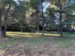 Vente terrain à batir 543 m² à Ollioules (83190)  245 000 €