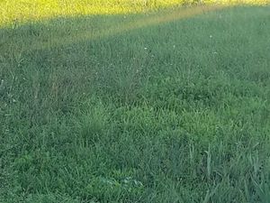 Vente terrain 600 m² à La Valette-du-Var (83160)  260 000 €