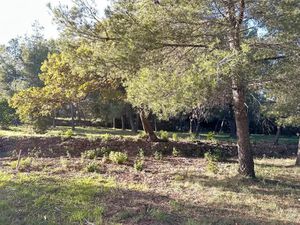 Vente terrain à batir 657 m² à Ollioules (83190)  285 000 €