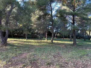 Vente terrain à batir 608 m² à Ollioules (83190)  265 000 €