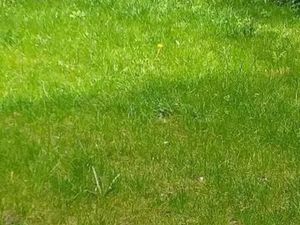 Vente terrain à batir 1473 m² à Noyalo (56450)  382 472 €