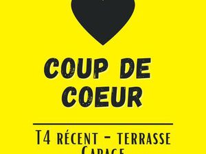 Appartement T4  3 chambres  terrasse  garage + espace de stockage  proche de toutes les...