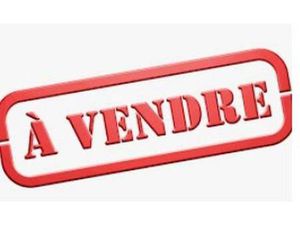 Local commercial à vendre