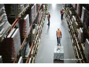 Vente/Location local d'activités NOISIEL 1 678 m²