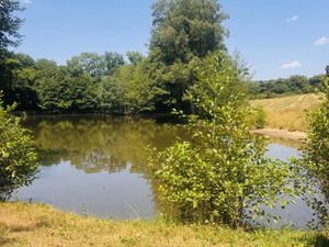 Achat Terrain 16 820m² LA CELLETTE 23350