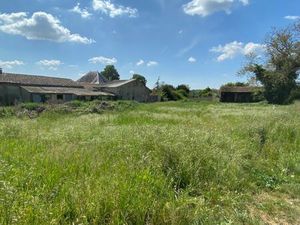 Vente terrain 2000 m² Mazeray (17400)