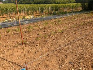 Vente terrain 600 m² Créon (33670)