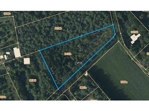 Terrain agricole à vendre à Lammerheide D137b Gierle (RBU75288)