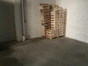 Grand entrepôt avec chambre froide idéalement situé